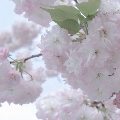 兽设家庭场景设计Furry群